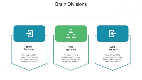 Brain Divisions Ppt Powerpoint Presentation Portfolio Layout Cpb