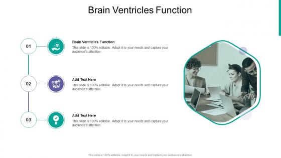 Brain Ventricles Function In Powerpoint And Google Slides Cpb