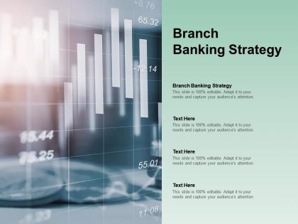 Branch banking strategy ppt powerpoint presentation infographics example introduction cpb