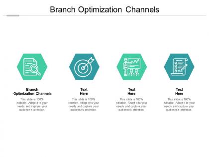 Branch optimization channels ppt powerpoint presentation portfolio gallery cpb