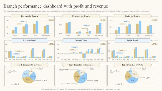 Branch Performance Dashboard With Profit And Revenue
