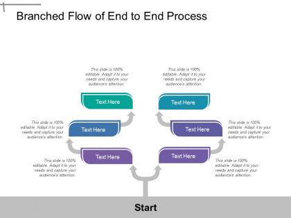 Branched flow of end to end process