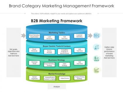 Brand category marketing management framework
