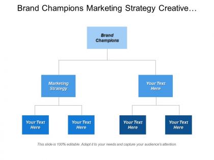 Brand champions marketing strategy creative strategy market studies