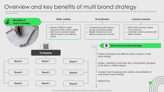Brand Development And Launch Strategy Overview And Key Benefits Of Multi Brand Strategy