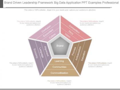 Brand driven leadership framework big data application ppt examples professional