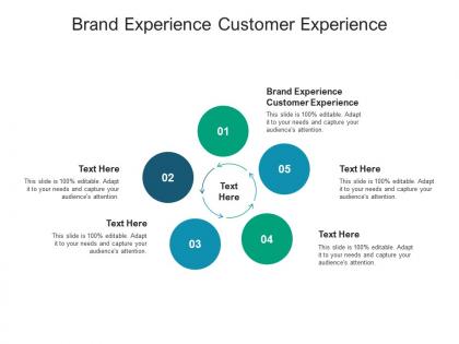 Brand experience customer experience ppt powerpoint presentation summary visual aids cpb