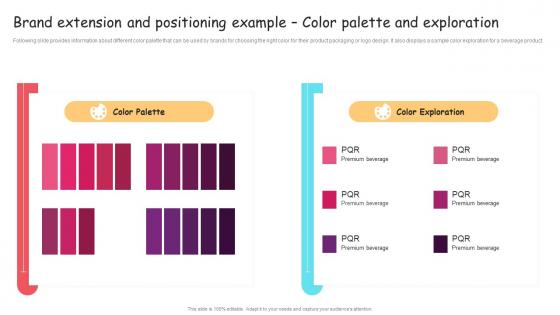 Brand Extension And Positioning Example Color Palette And Exploration Ppt Graphics