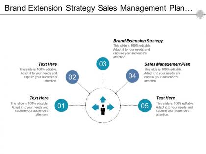 Brand extension strategy sales management plan target audience cpb