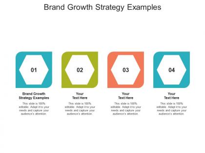 Brand growth strategy examples ppt powerpoint presentation file visual aids cpb