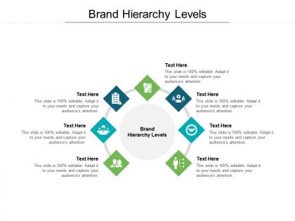 Brand hierarchy levels ppt powerpoint presentation file portrait cpb