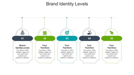 Brand identity levels ppt powerpoint presentation layouts templates cpb