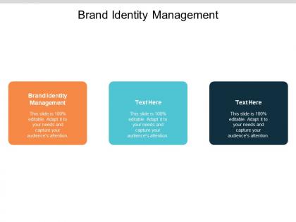 Brand identity management ppt powerpoint presentation show file formats cpb