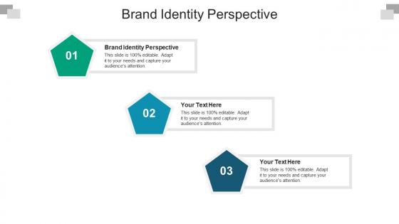 Brand identity perspective ppt powerpoint presentation file summary cpb