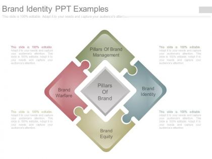 Brand identity ppt examples