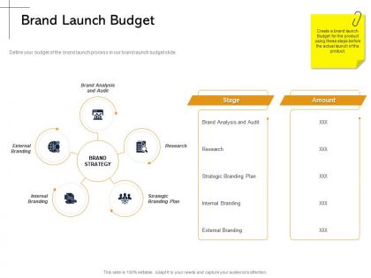 Brand launch budget and audit ppt powerpoint presentation inspiration graphics pictures
