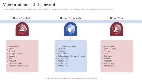 Brand Launch Marketing Plan Voice And Tone Of The Brand Branding SS V