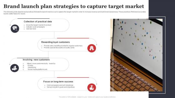Brand Launch Plan Strategies To Capture Target Market