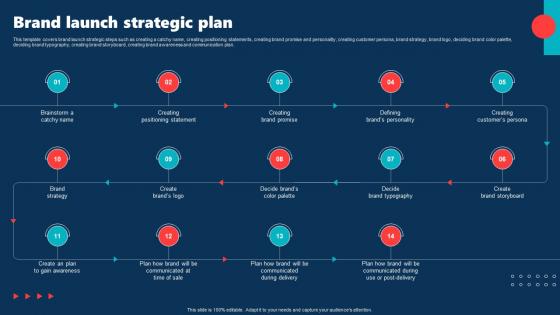 Brand Launch Strategic Plan Internal Brand Rollout Plan Ppt Summary Display