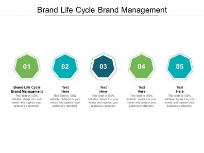 Brand life cycle brand management ppt powerpoint presentation summary layout ideas cpb
