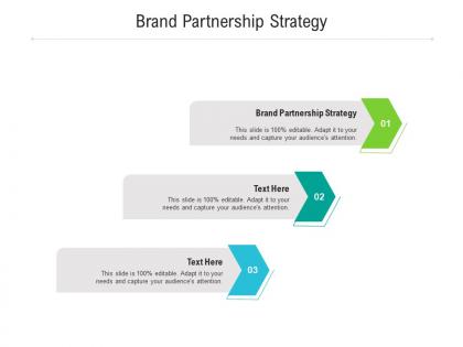 Brand partnership strategy ppt powerpoint presentation file tips cpb