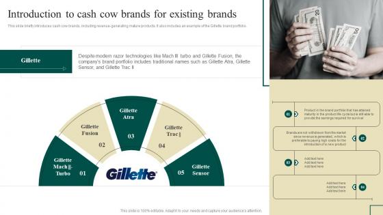 Brand Portfolio Management Introduction To Cash Cow Brands For Existing Brands Branding SS