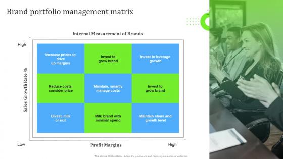 Brand Portfolio Management Matrix Steps For Building Brand Portfolio Strategy