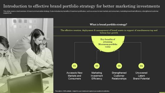Brand Portfolio Strategy And Architecture Introduction To Effective Brand Portfolio Strategy