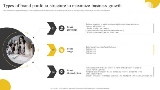 Brand Portfolio Strategy And Brand Architecture Types Of Brand Portfolio Structure To Maximize Business Growth