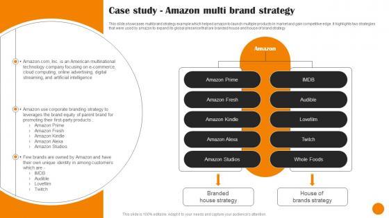 Brand Positioning And Launch Strategy Case Study Amazon Multi Brand Strategy MKT SS V