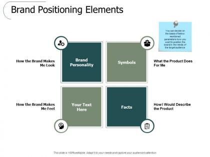 Brand positioning elements ppt powerpoint presentation slides picture