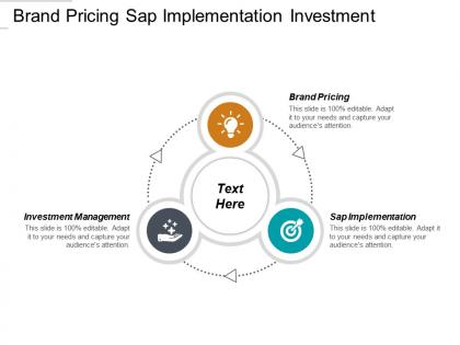 Brand pricing sap implementation investment management lean agile marketing mix cpb