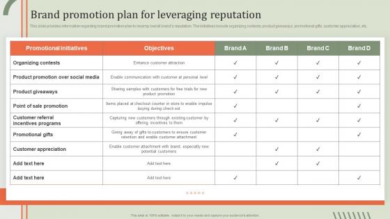 Brand Promotion Plan For Leveraging Guideline Brand Performance Maintenance Team