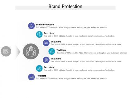 Brand protection ppt powerpoint presentation professional display cpb