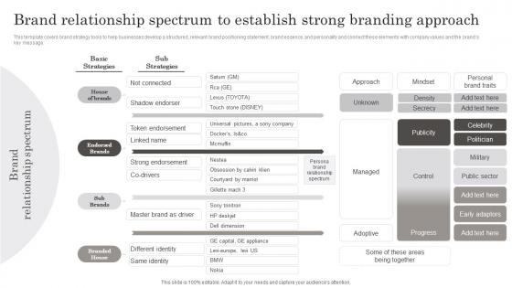 Brand Relationship Spectrum To Establish Strong Branding Developing Brand Leadership Capabilities