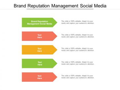 Brand reputation management social media ppt infographics example topics cpb