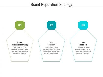 Brand reputation strategy ppt powerpoint presentation infographic template guide cpb