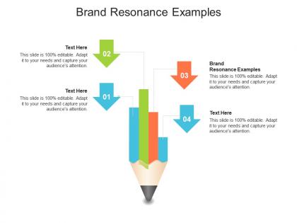 Brand resonance examples ppt powerpoint presentation show styles cpb