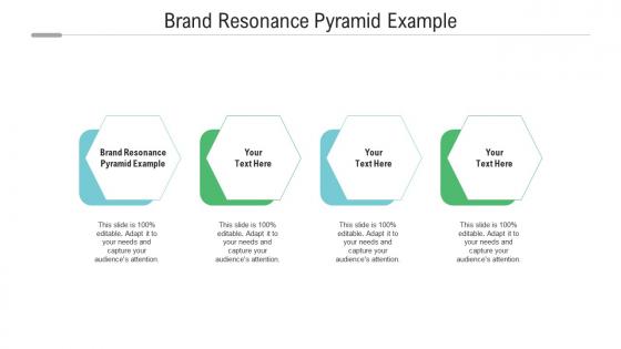 Brand resonance pyramid example ppt powerpoint presentation summary examples cpb