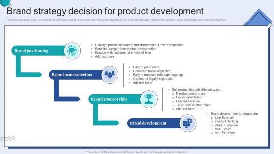 Brand Strategy Decision For Product Development
