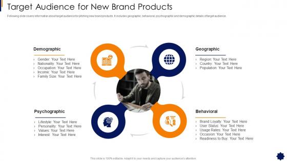 Brand Strategy Framework Target Audience For New Brand Products