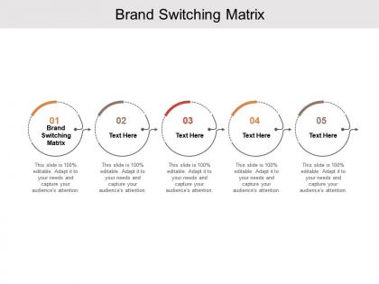Brand switching matrix ppt powerpoint presentation show templates cpb