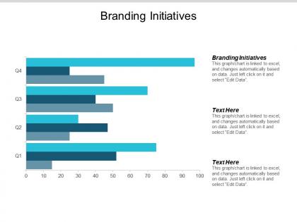Branding initiatives ppt powerpoint presentation infographics example file cpb