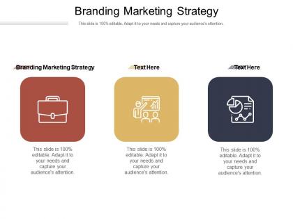 Branding marketing strategy ppt powerpoint presentation summary template cpb