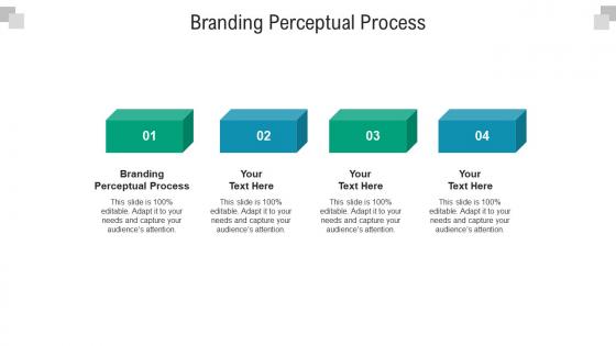 Branding perceptual process ppt powerpoint presentation outline rules cpb