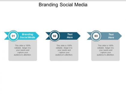 Branding social media ppt powerpoint presentation ideas layouts cpb