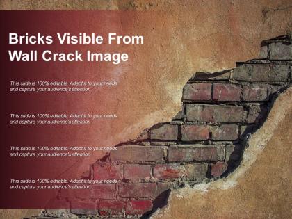 Bricks visible from wall crack image
