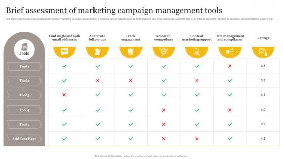 Brief Assessment Of Marketing Campaign Management Tools