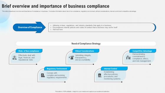 Brief Overview And Importance Of Business Compliance Strategies To Comply Strategy SS V