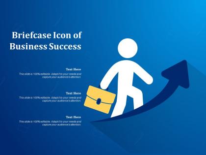 Briefcase icon of business success